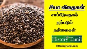 Read more about the article Chia Seeds Benefits In Tamil – சியா விதைகள் சாப்பிடுவதால் ஏற்படும் நன்மைகள்