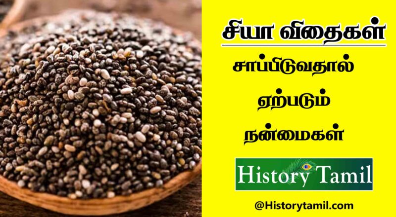 Chia Seeds Benefits In Tamil