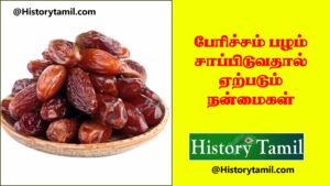 Read more about the article பேரிச்சம்பழம் சாப்பிடுவதால் ஏற்படும் நன்மைகள் || Dates Benefits In Tamil