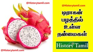 Read more about the article டிராகன் பழத்தின் நன்மைகள் – Dragon Fruit Benefits in Tamil