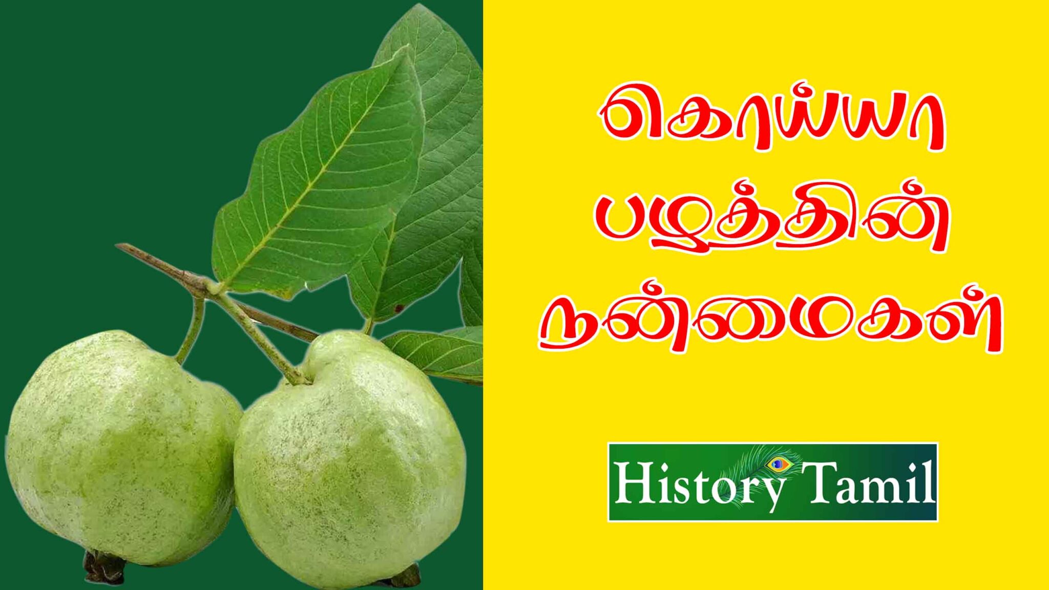 guava-benefits-in-tamil