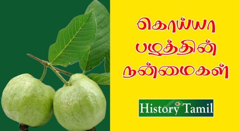 Guava Benefits In Tamil