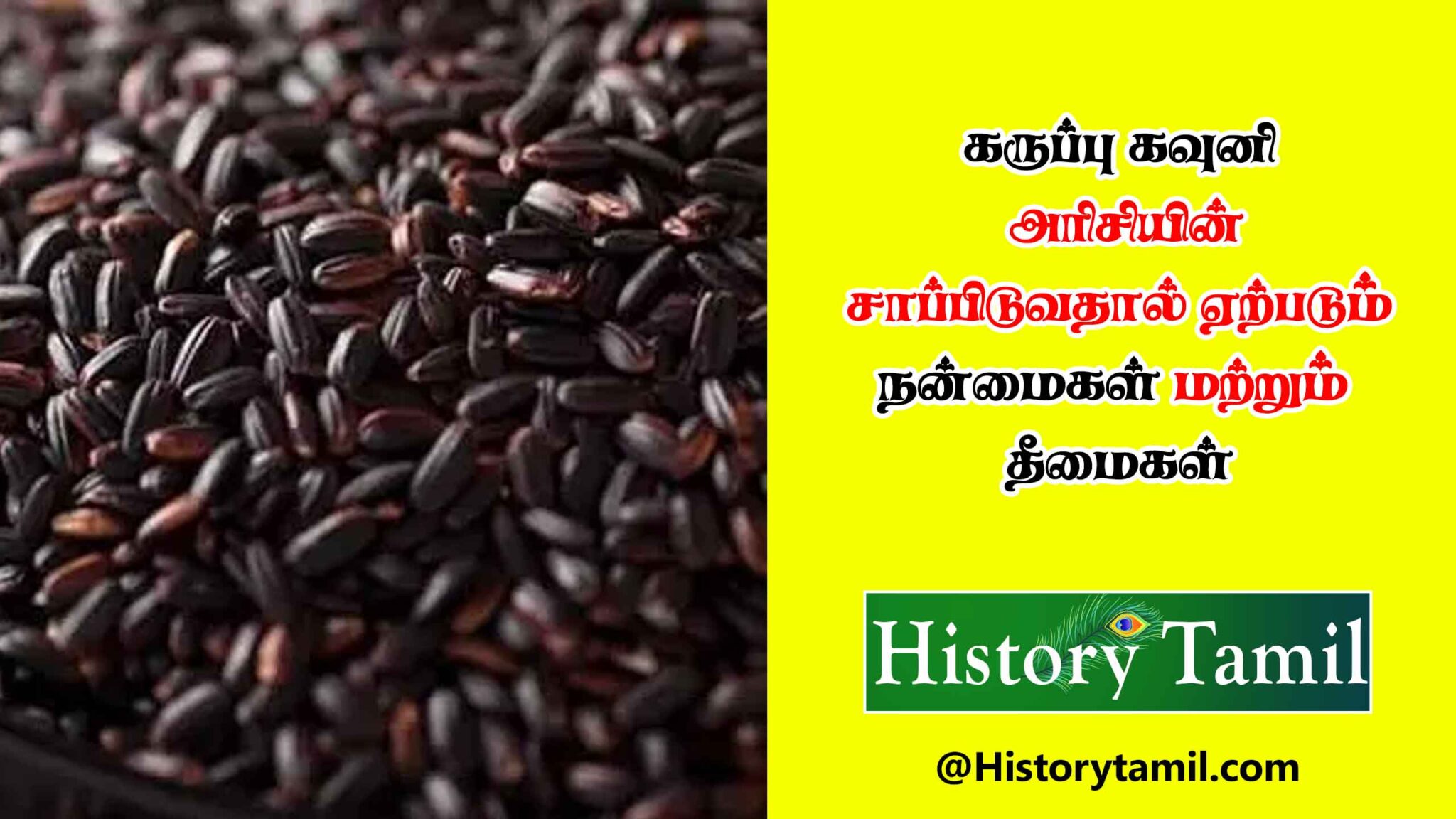 Karuppu Kavuni Rice Benefits - கருப்பு கவுனி அரிசியில் உள்ள நன்மைகள்