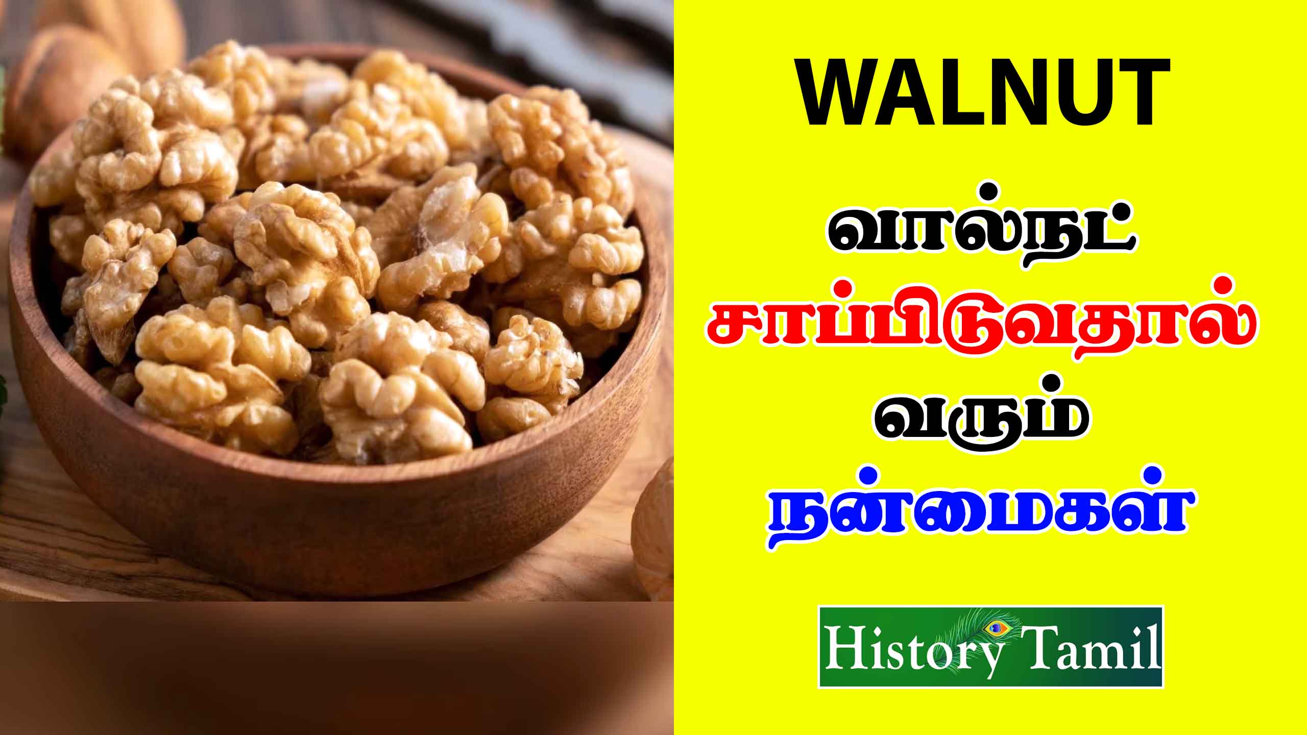 Read more about the article walnut benefits in tamil – வால்நட் சாப்பிடுவதால் ஏற்படும் நன்மைகள்