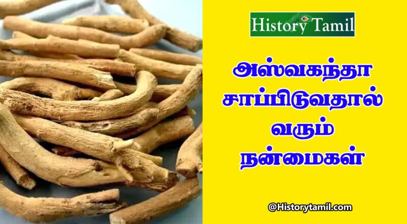 Ashwagandha Powder Benefits In Tamil