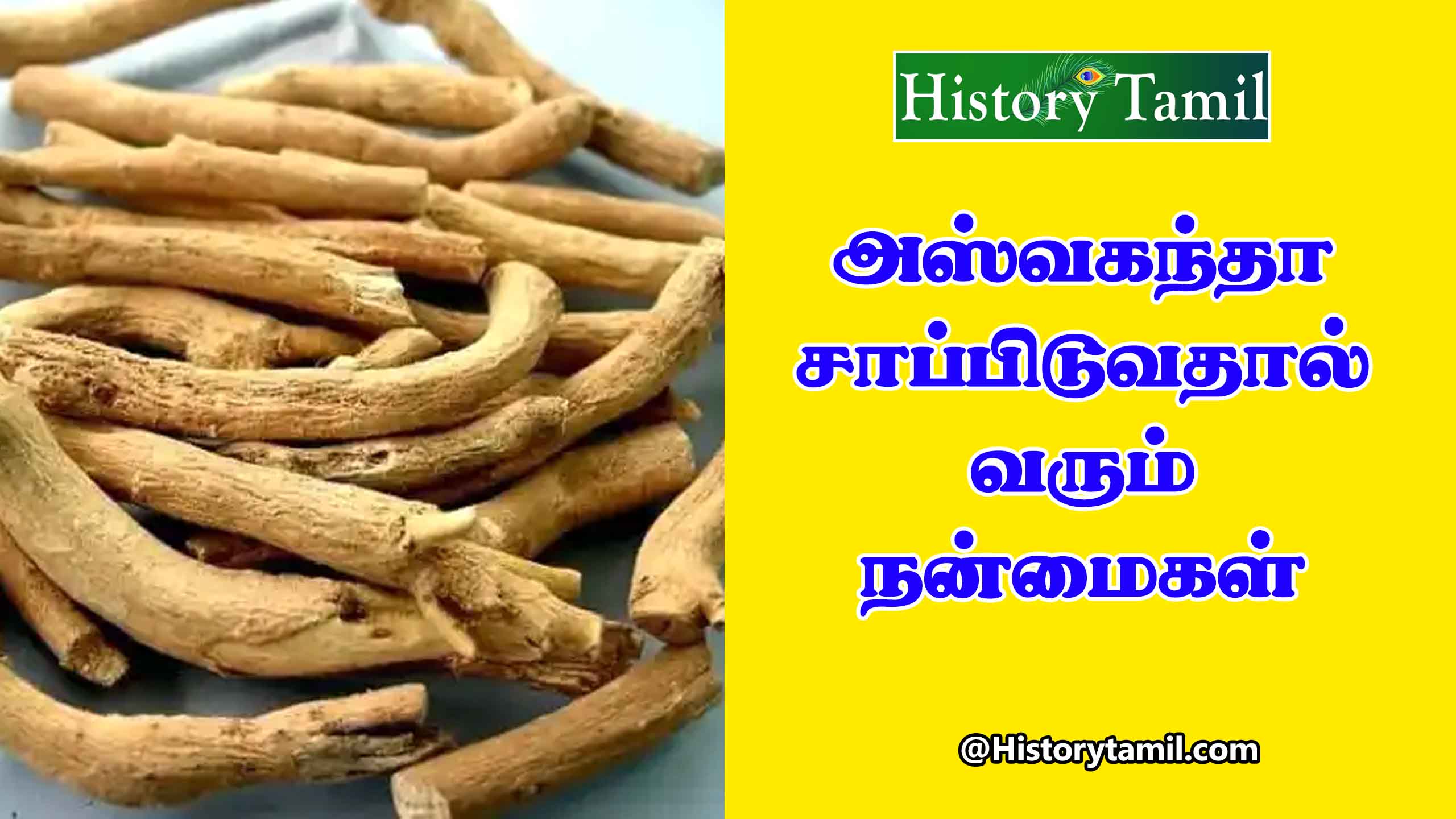 Read more about the article அஸ்வகந்தா சாப்பிடுவதால் நம் உடலுக்கு தரும் பலன்கள் – Ashwagandha Powder Benefits In Tamil