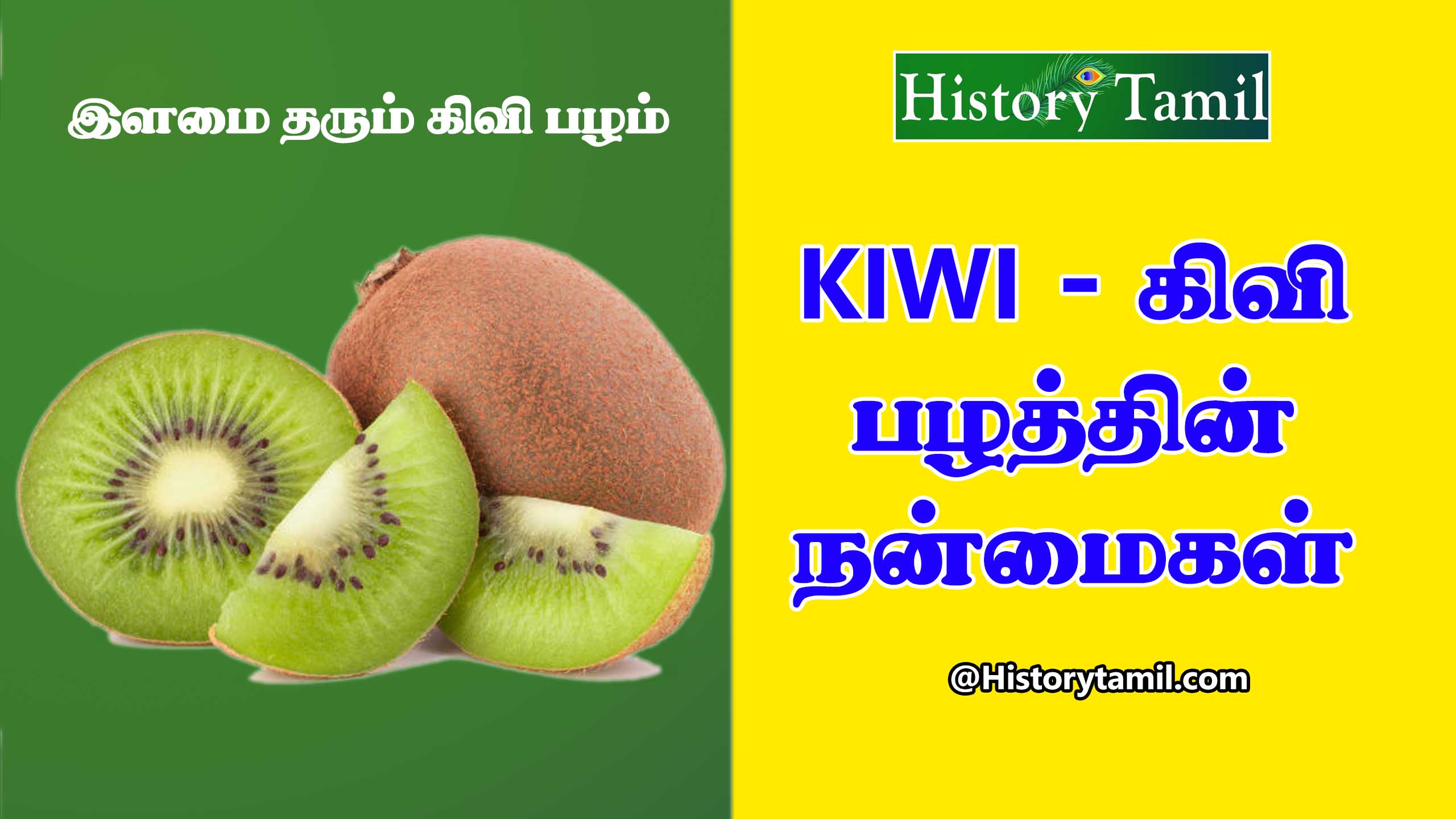 Read more about the article தினம் ஒரு கிவி பழம் சாப்பிடுதல் நமக்கு கிடைக்கும் நன்மைகள் – Kiwi Fruit Benefits In Tamil