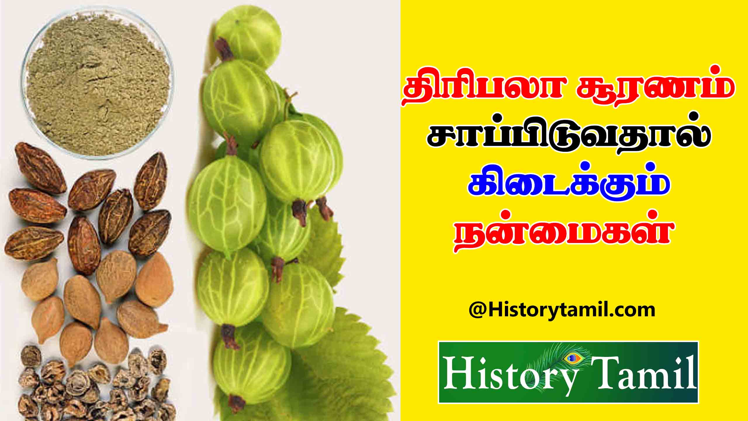 Read more about the article திரிபலா சூரணம் நன்மைகள் | Thiripala Suranam benefits in Tamil