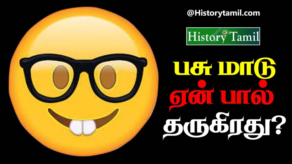 Kadi jokes in Tamil