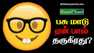 Read more about the article தமிழில் கடி ஜோக்ஸ் 2024 – Kadi jokes in Tamil