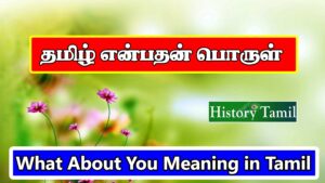 Read more about the article தமிழ் என்பதன் அர்த்தம் – What About You Meaning in Tamil