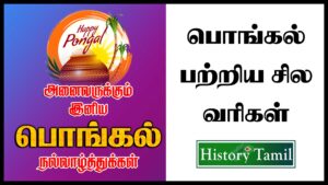 Read more about the article பொங்கல் பற்றி சில வரிகள்