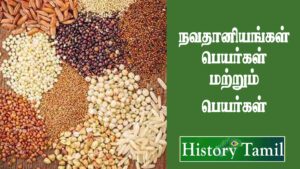 Read more about the article நவதானியங்கள் பெயர்கள் மற்றும் பயன்கள் || Nava Thaniyankal Name’s And Benifits in Tamil