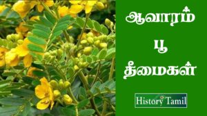 Read more about the article ஆவாரம் பூ தீமைகள் || Aavaram Poo Benifits in Tamil