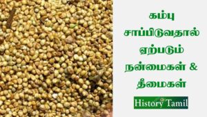 Read more about the article கம்பு தீமைகள் || Kambu benifits in Tamil