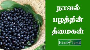 Read more about the article நாவல் பழம் தீமைகள் || Naval Palam Benifits in Tamil