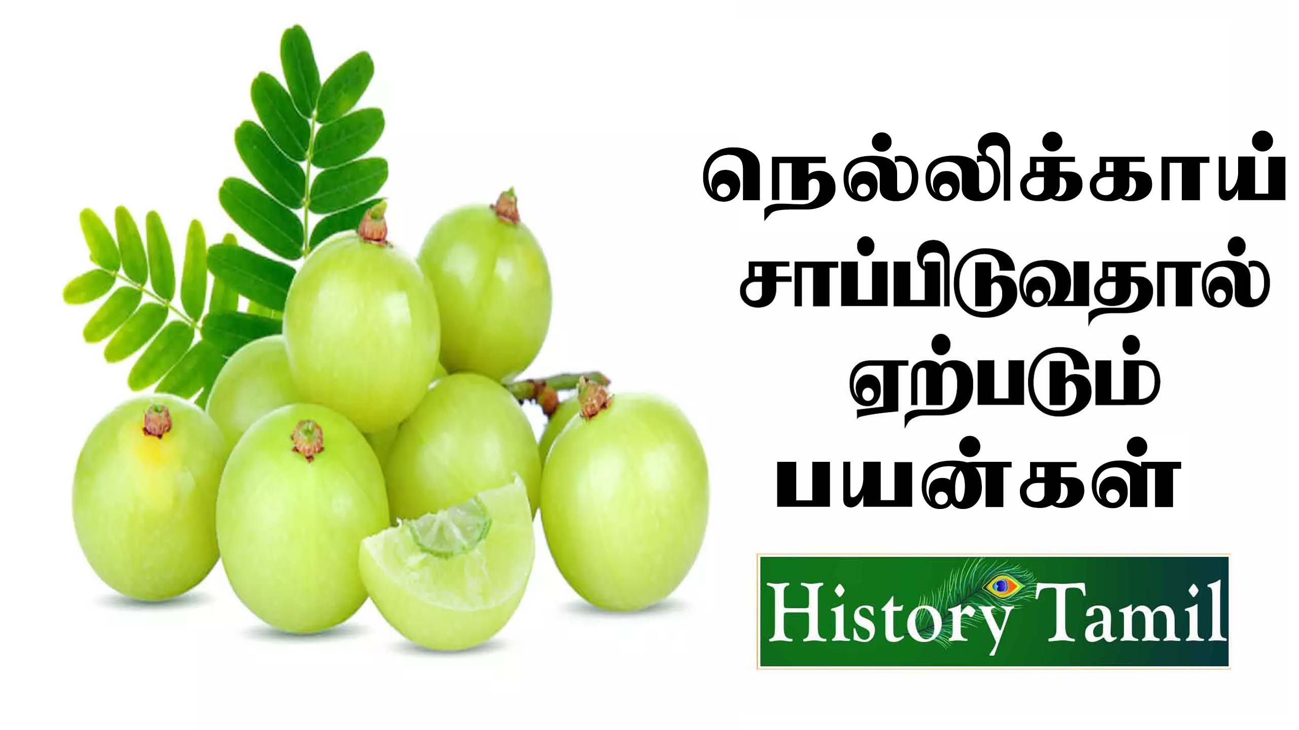 Read more about the article நெல்லிக்காய் பயன்கள் || நெல்லிக்காய் தீமைகள்- Amla(Gooseberry) Benefits in Tamil