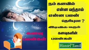 Read more about the article கனவு பலன்கள் || Kanavu Palangal in Tamil