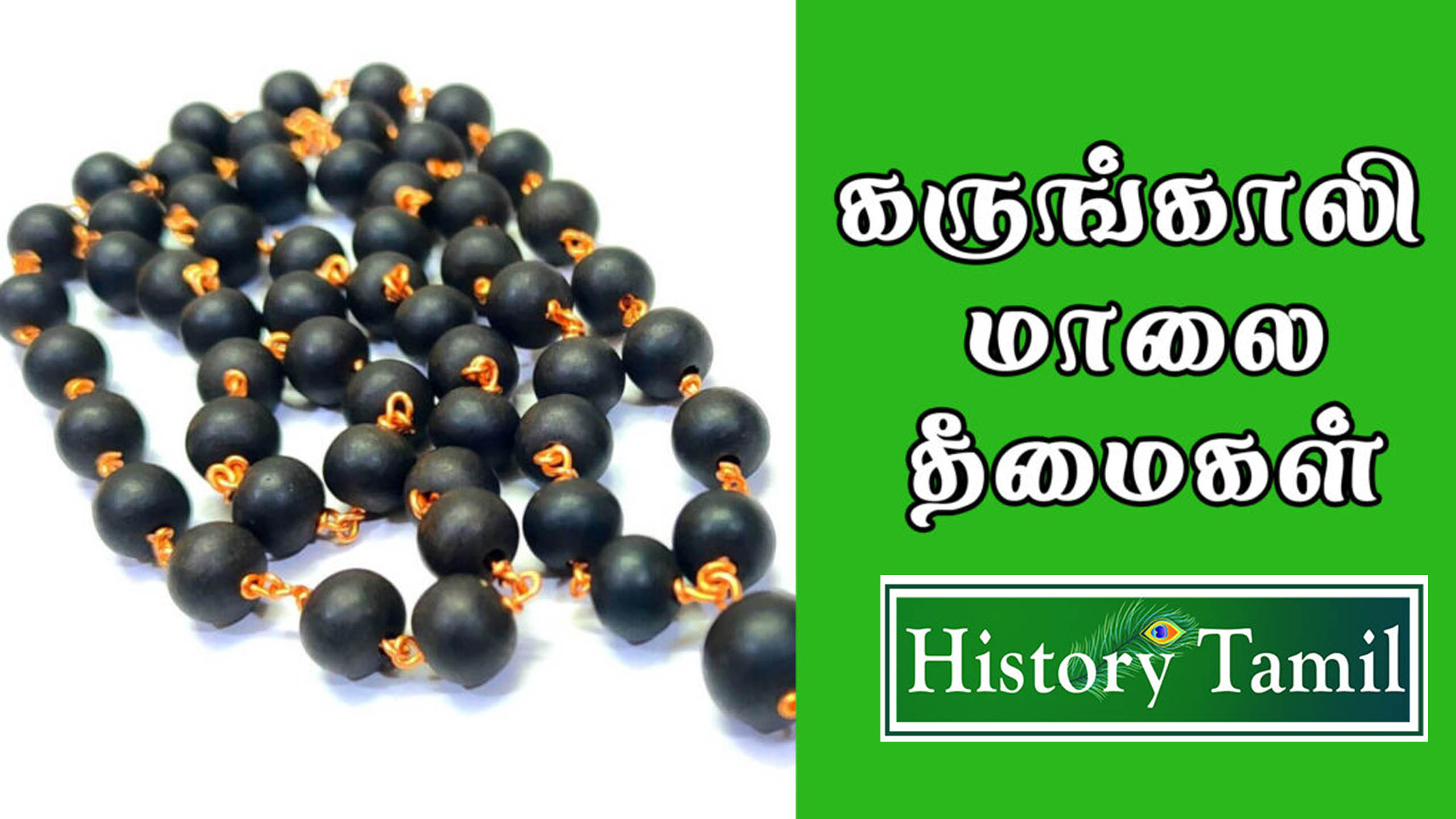 Read more about the article கருங்காலி மாலை அணிவதால் ஏற்படும் தீமைகள் || கருங்காலி மாலை யாரு அணியக் கூடாது?