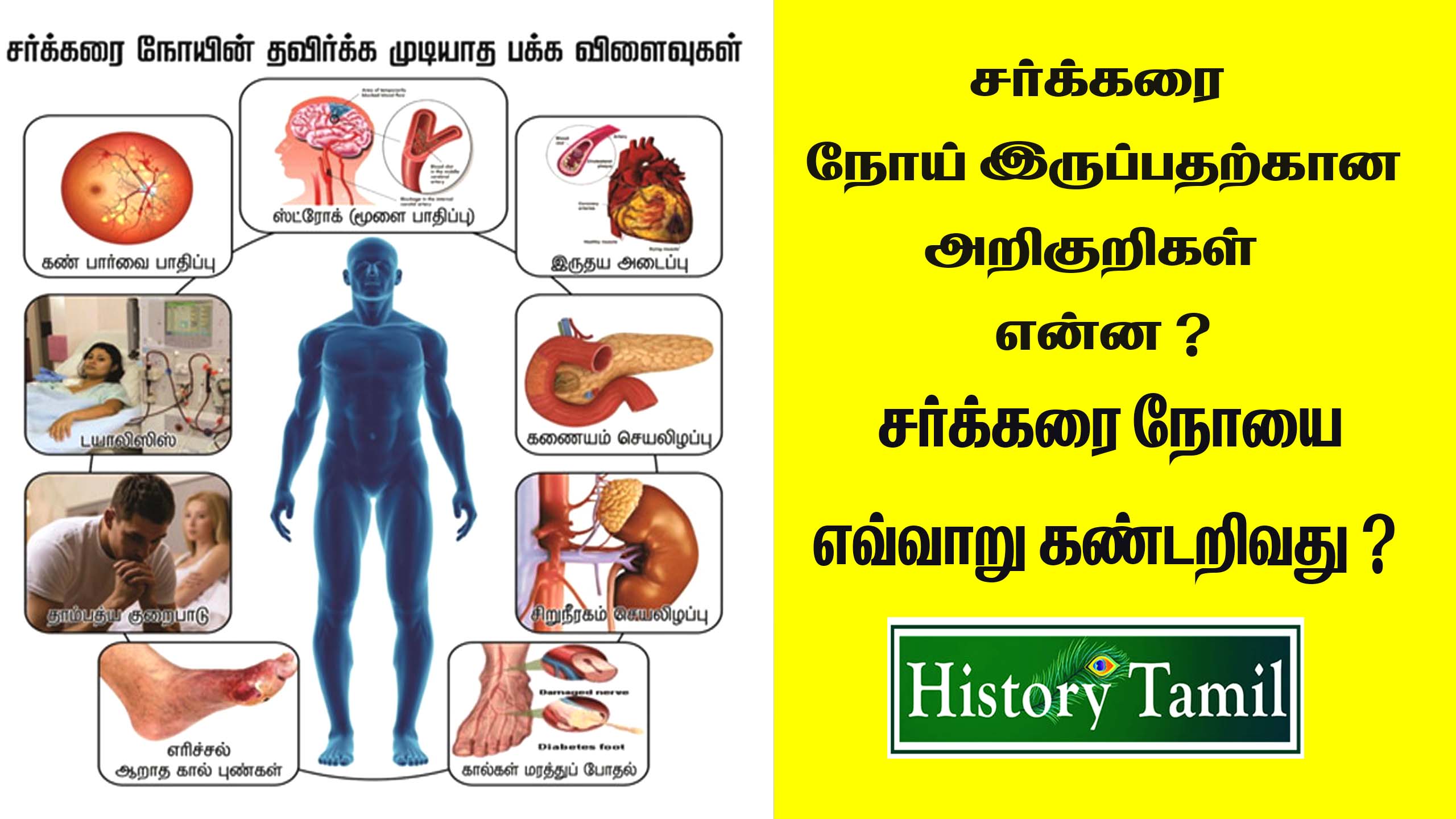 Read more about the article சுகர் அறிகுறிகள் பெண்கள் || Diabetes Symptoms for Women in Tamil