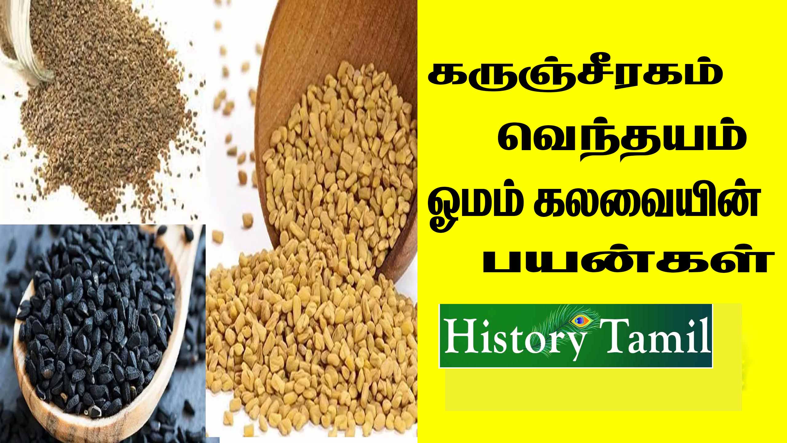 Read more about the article கருஞ்சீரகம் வெந்தயம் ஓமம் கலவையின் பயன்கள் || Karunjeeragam Vendhayam Omam Benefits in Tamil