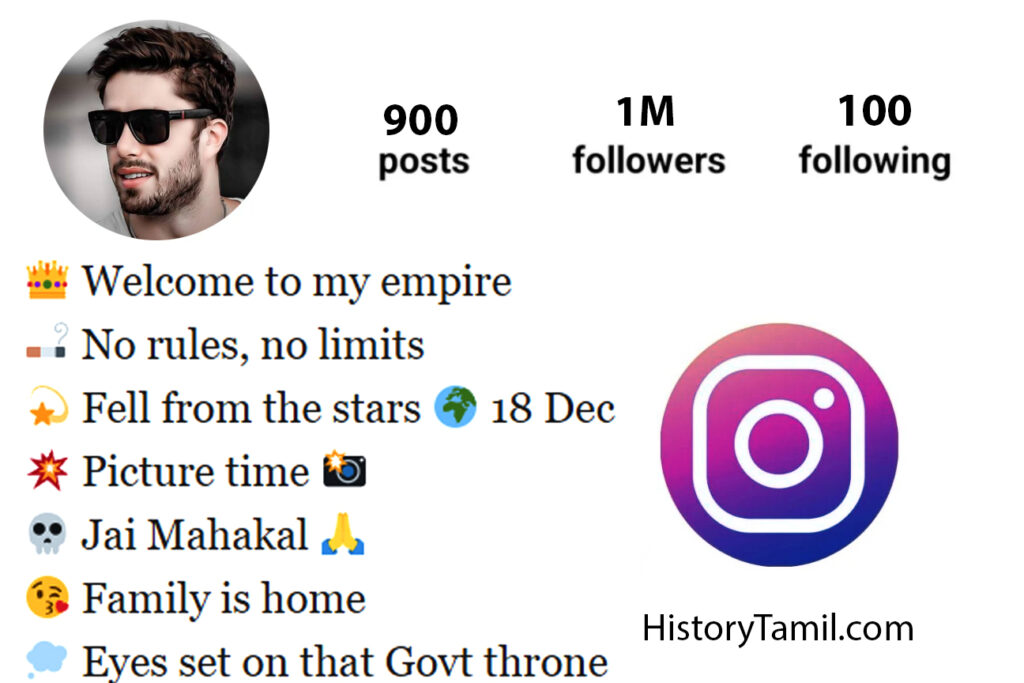 Instagram bio for boys attitude