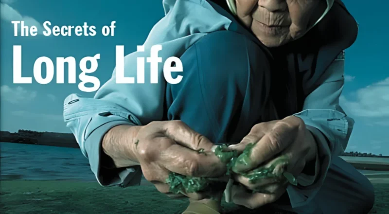 Live Longer and Healthier The One Vitamin You Can’t Ignore